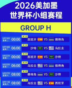世界杯赛场激情瞬间